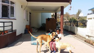 10944220_882515971810314_1253374197_n