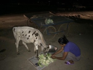 11206974_504277766387899_4138467116184816744_n