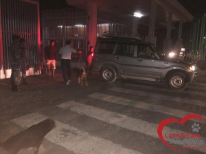 12066047_988743321187578_217278997877119120_n