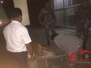 12079709_988743294520914_5122363045630680489_n